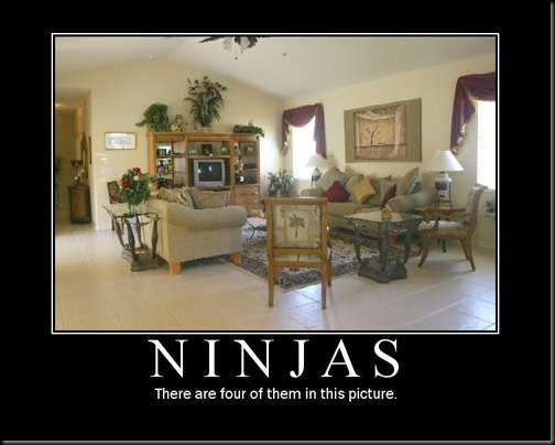 ninjas